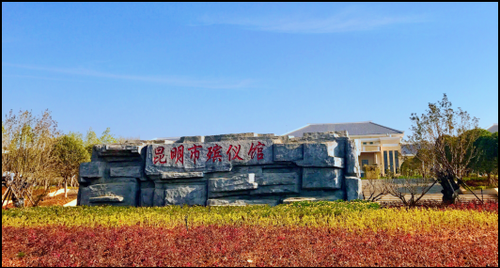 图片1
